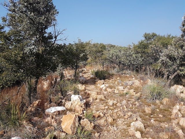 Rietfontein Nature Reserve