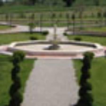 Cheerleaders Sportsbar